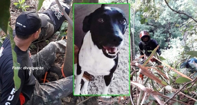 Cachorrinha cai em ribanceira na zona Oeste e mobiliza equipe de buscas