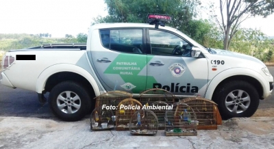 Polícia Ambiental resgata pássaros na região e aplica multas