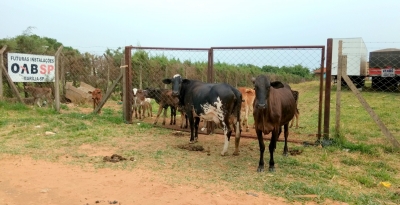 Prefeitura tenta retomar, na justiça, área abandonada pela OAB