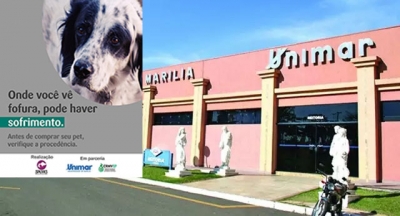 Campanha em Marília busca conscientizar sobre venda ilegal de filhotes