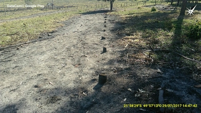 Queima ilegal atinge Estação Ecológica de Marília