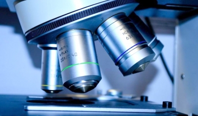 Capes pode suspender pagamento de bolsas de mestrado e doutorado