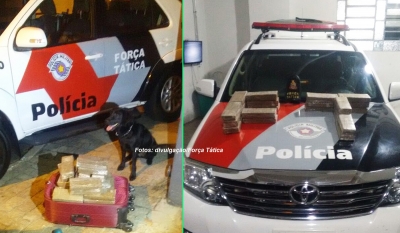 Moça é presa pela Força Tática ao trazer drogas para facção criminosa em Marília