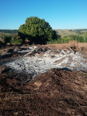 Fogo em mato vira caso de Polícia em Marília
