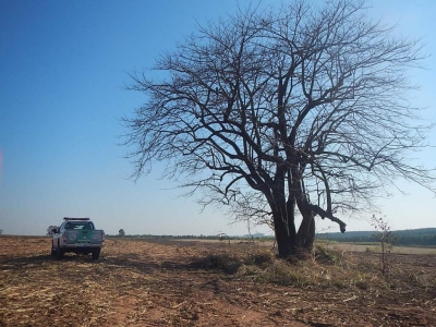 Satélite ajuda Polícia Ambiental a localizar queimadas