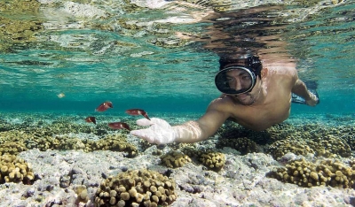 Tô de férias! Ministério do Turismo alerta para cuidado com praias e recifes