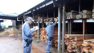 Polícia Ambiental realiza Operação Madeireira