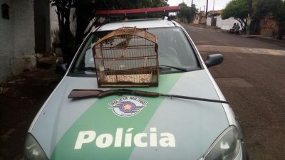 Polícia resgata pássaro e apreende arma de fogo