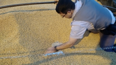 Polícia faz mega apreensão de maconha em rodovia