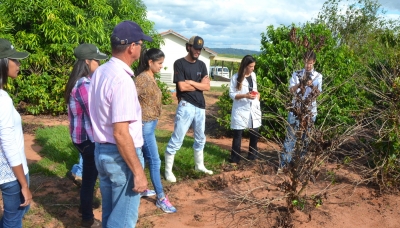 Prefeitura e Unimar finalizam 1ª fase do Projeto Unicampo