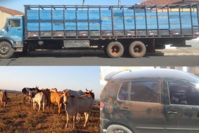 Polícia Militar prende quadrilha envolvida em furto de gado na região