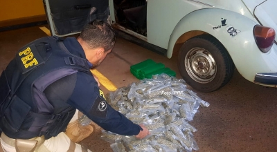 Casal usa Fusca para transportar drogas, na região