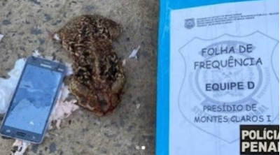Policiais encontram celular dentro de sapo que foi jogado em presídio