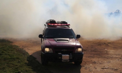 Fogo em mato quase atinge empresa de pallets