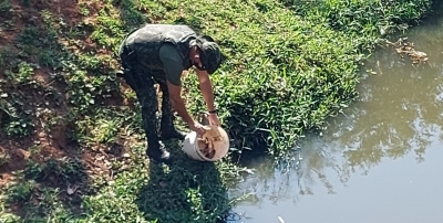 Pescador com redes e tarrafa é flagrado pela Polícia Ambiental, na região