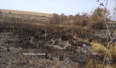 Dono de fazenda é multado em mais de R$ 21,5 mil por queimada irregular