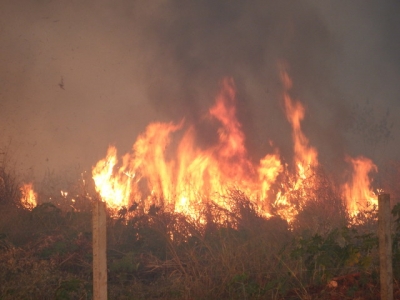 Incêndio atinge pasto de sítio às margens da BR-153