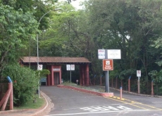 Semana da Árvore: atividades              de preservação do meio ambiente