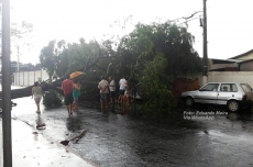 Chuva e vento causam estragos na região
