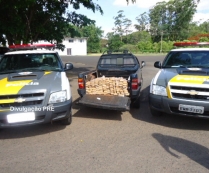 TOR apreende maconha                                      em rodovia na região
