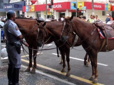 CRIME: Pintor é preso por roubo no centro