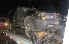 Búfala provoca acidente                com morte em rodovia