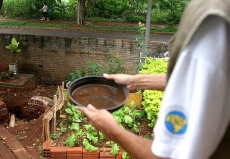 Dengue: ação rápida                   para evitar epidemia
