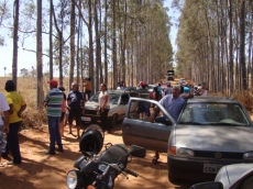 Crianças desaparecidas                                são localizadas em matagal 