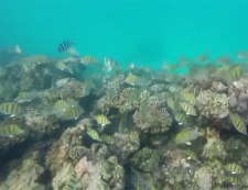VÍDEO: Aeromodelo cai no mar                  e registra imagens incríveis