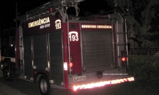 Insetos atacam na zona norte