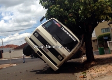 Caminhão sem freio:                            motorista evita tragédia
