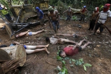 Índios realizam operação                 para conter desmatamento 