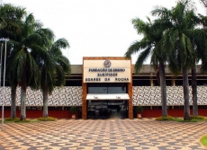 Univem: participação em livro          por docente e ex-aluno 