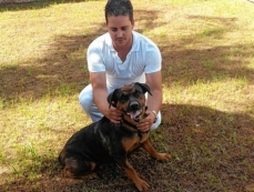 Cadela atacada com facão            não ficará com sequelas