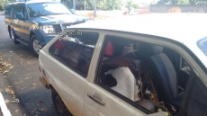 Carro que transportava boi é localizado pela Polícia Rodoviária Federal