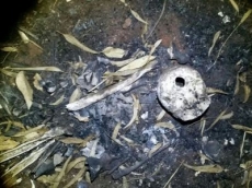 Ossos humanos são encontrados em parque