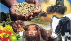 Relacionamento & Negócios em      Marília