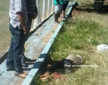 Homem é encontrado morto      . Polícia investiga