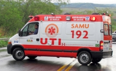 Ataque de abelhas: vítima                                     tem quadro evolutivo