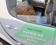 Pássaro silvestre é capturado pela Polícia Ambiental