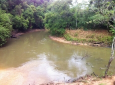 Bebê engatinha e cai                     em córrego