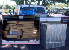 Maconha: 264 Kg apreendidos     na região