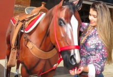 Finalistas Garota Expo Marília 