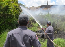É FOGO: Incêndio às margens de rodovia mobiliza Corpo de Bombeiros