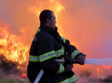 Incêndio de grandes proporções destrói mata nativa e ameaça casas na zona Norte