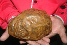 Bola de fogo cai do céu e assusta na região