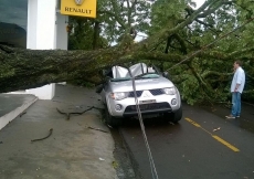 Temporal causa muitos estragos               pela região