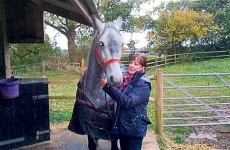 Mulher morre após lambida     de cachorro de estimação