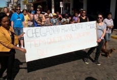 Mortes de cães e gatos                 geram protestos
