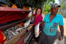 PIRACEMA: pescadores                          profissionais vão receber auxílio